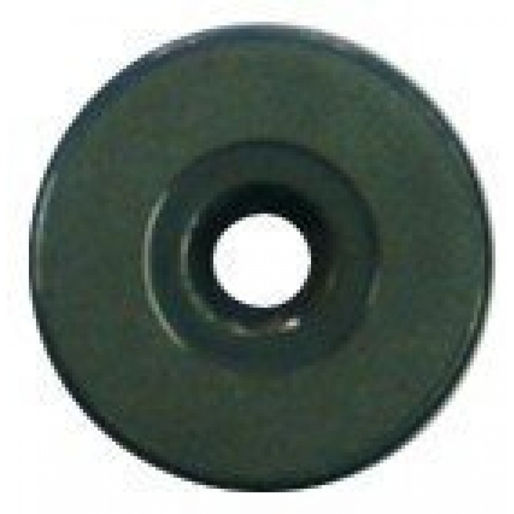 Bekçi Kontrol Noktası