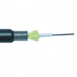 ERAT 12 CORE SM SLT FO Zırhlı Kablo D 652 D 1m