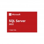 SQL Server 2022 - 1 User CAL