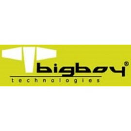 BIGBOY BTS432/32g 32GB DDR4 3200MHz CL22 Registered ECC SERVER MEMORY