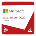 SQL Server 2022 Standard Edition Perpetual 1 Server